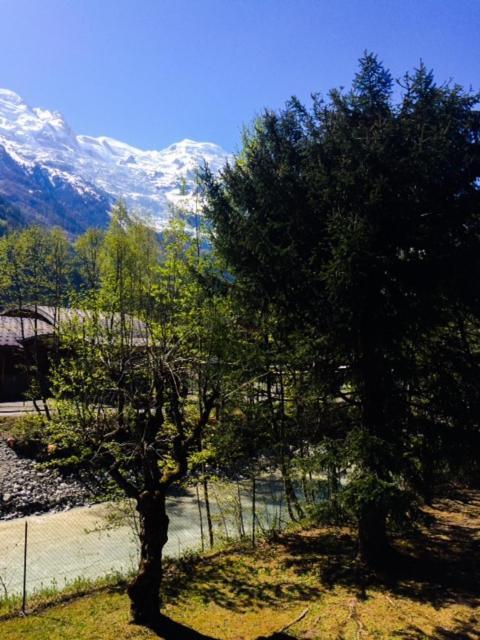 Studio Lumineux Avec Vue Sur Le Massif Du Mont-Blanc Chamonix Eksteriør bilde